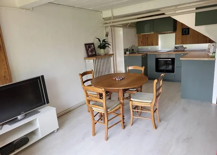 Bel Appartement Rez-De-Jardin