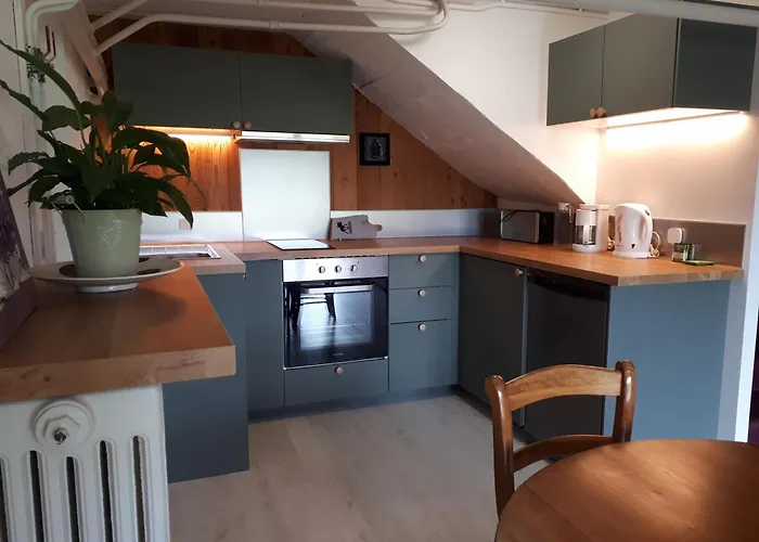 Bel Appartement Rez-De-Jardin